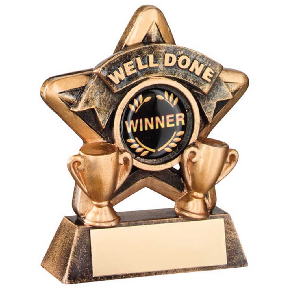 BRZ/GOLD MINI STAR 'WELL DONE' WITH PLATE (1in CENTRE) - 3.75in - Optimum Teamwear