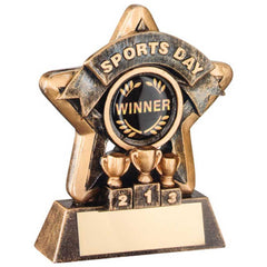 BRZ/GOLD MINI STAR 'SPORTS DAY' WITH PLATE (1in CENTRE) - 3.75in - Optimum Teamwear