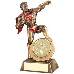 BRZ/GOLD/RED RESIN GENERIC 'HERO' AWARD WITH CRICKET INSERT AND PLATE - 7.25in - Optimum Teamwear