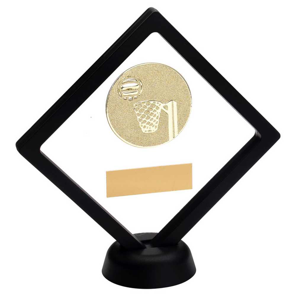 BLACK/CLEAR PLASTIC BOX WITH NETBALL INSERT TROPHY GOLD - 6in