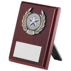 ROSEWOOD PLAQUE AND SILVER TRIM ASSEMBLED TROPHY (1in CENTRE) - 4in