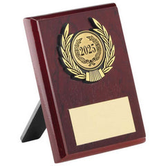 ROSEWOOD PLAQUE AND GOLD TRIM ASSEMBLED TROPHY (1in CENTRE) - 4in